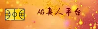 使用指南与常见问题
